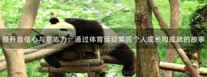球王会体育