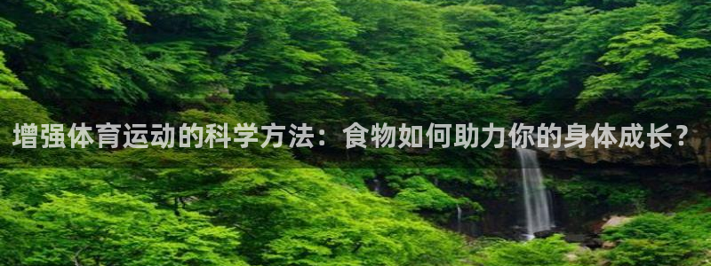 球王会体育