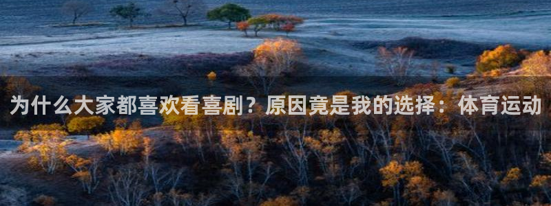 球王会体育