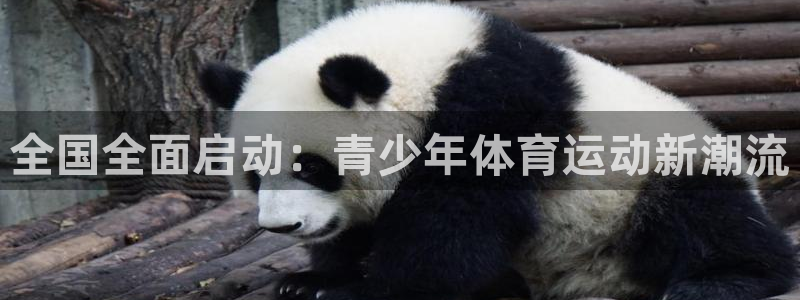 球王会体育