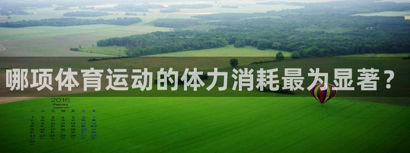 球王会体育