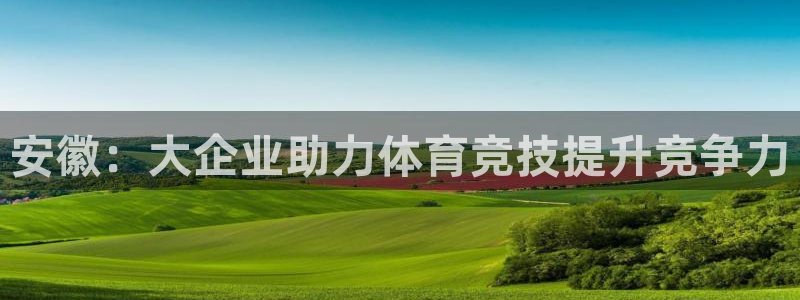 球王会体育：安徽：大企业助力体育竞技提升竞争力