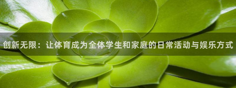 球王会体育：创新无限：让体育成为全体学生和家庭的日常活动与娱乐方式