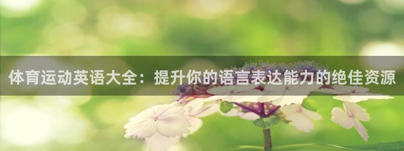 球王会体育