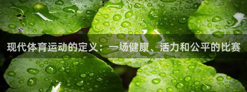 球王会体育：现代体育运动的定义：一场健康、活力和公平的比赛