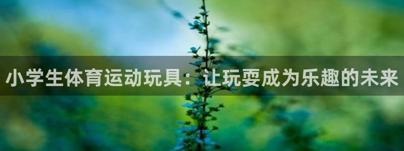 球王会体育：小学生体育运动玩具：让玩耍成为乐趣的未来